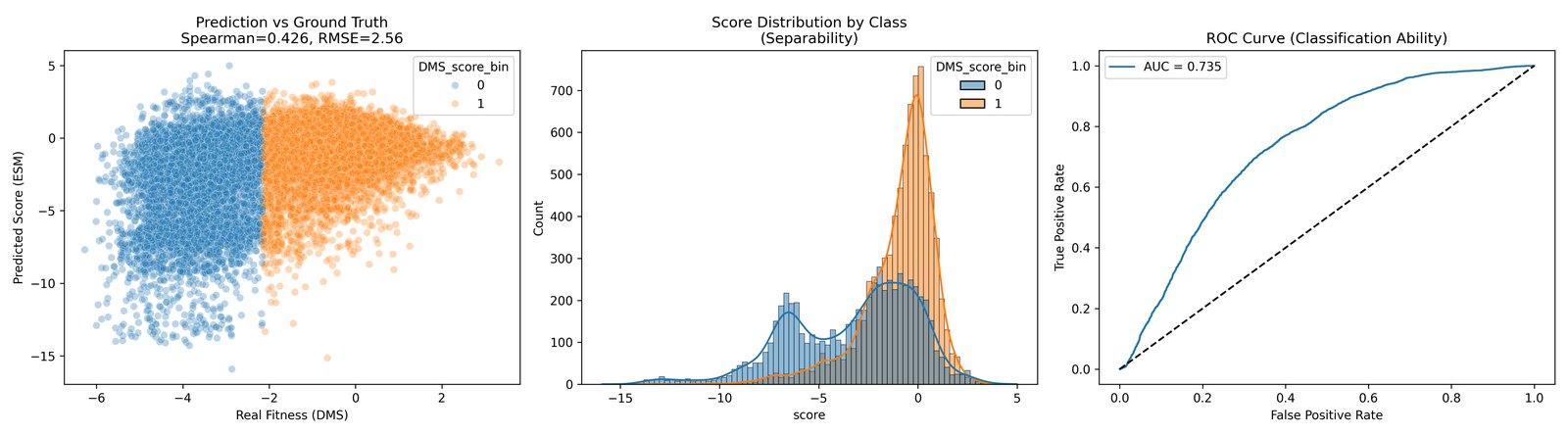 ESM model result plots showing prediction versus ground truth, ROC curve, and score distributions