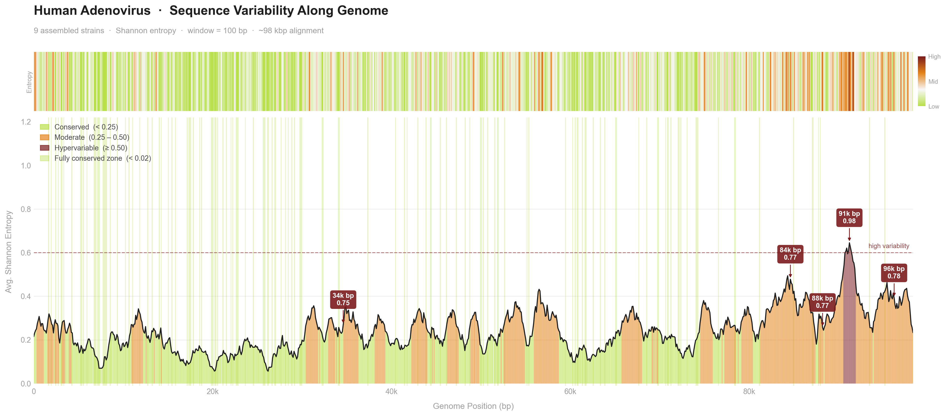Human adenovirus genome variability plot across genome position