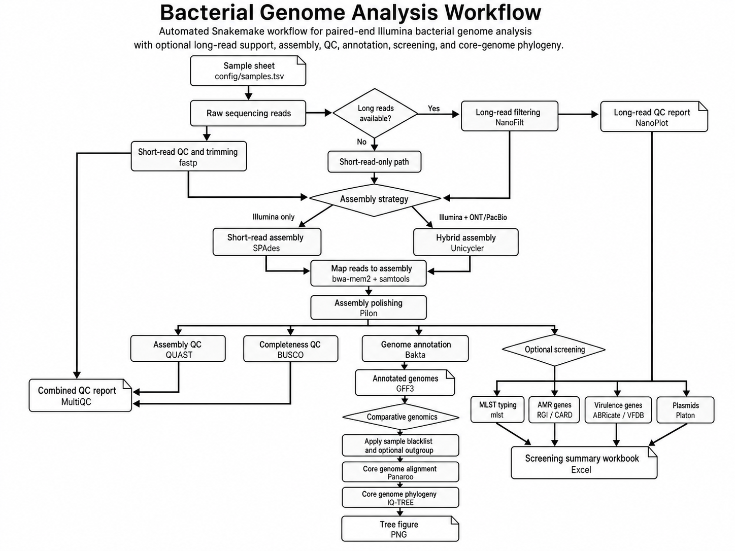 Bacterial genome analysis workflow diagram from raw reads to annotation and phylogeny